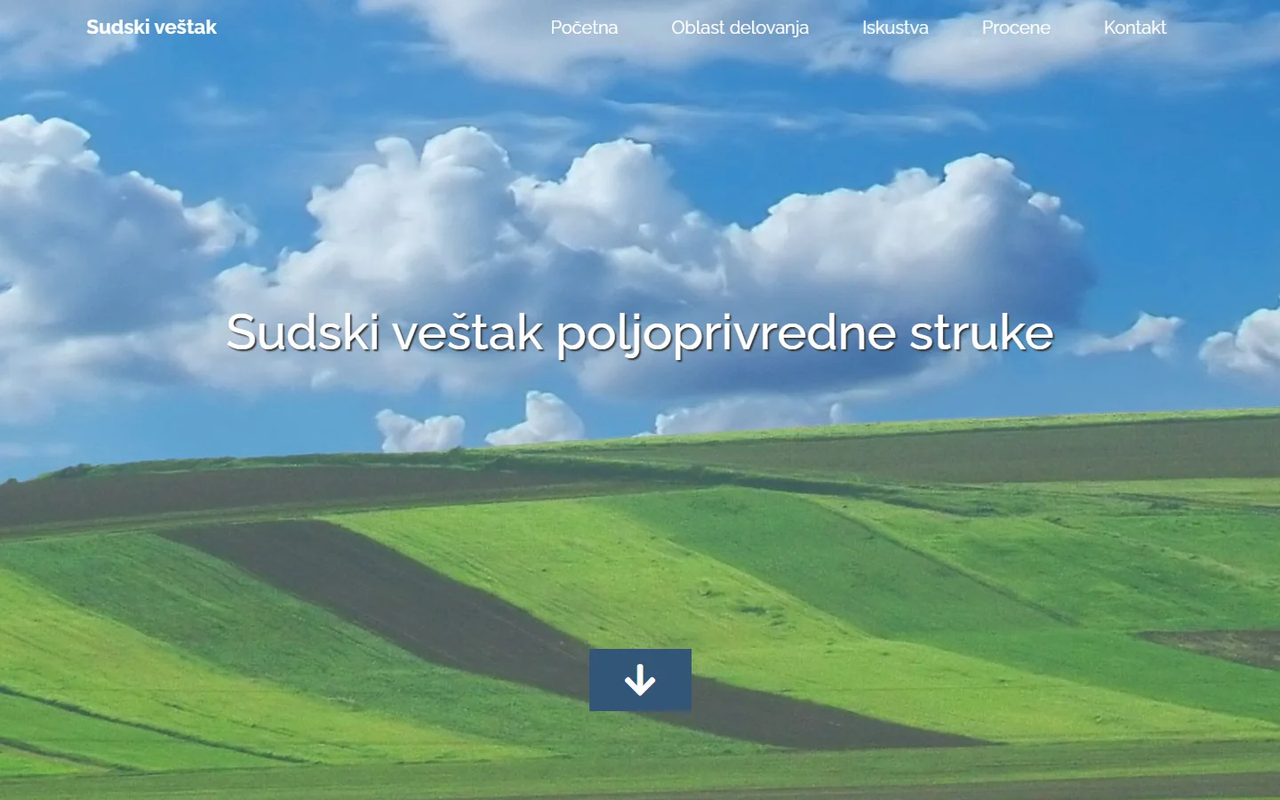 Stari sajt: tamna strana sa teškim video zaglavljem i sitnim tekstom.