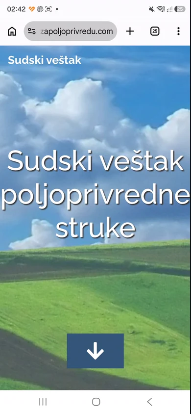 Stari sajt na telefonu: sitan tekst, težak video.