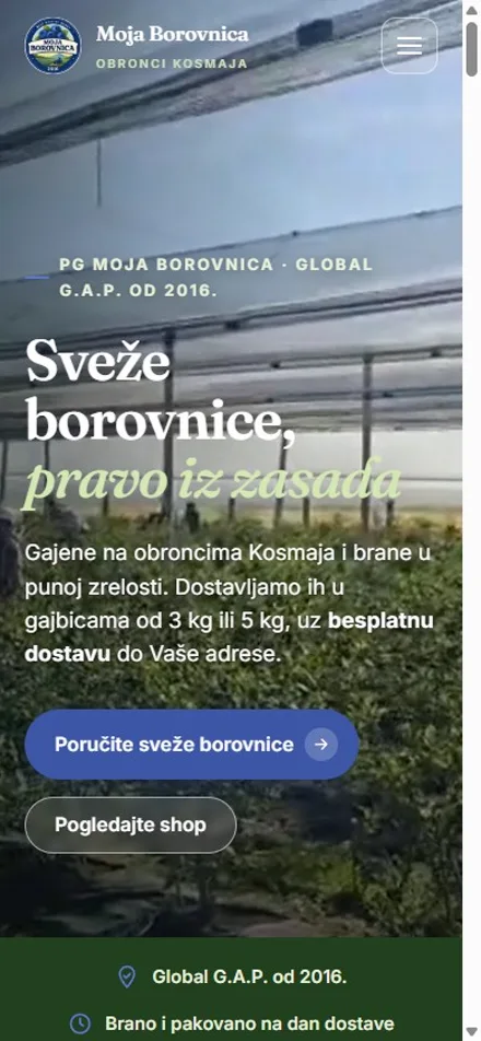 Početna strana sajta Moja Borovnica, mobilni prikaz.